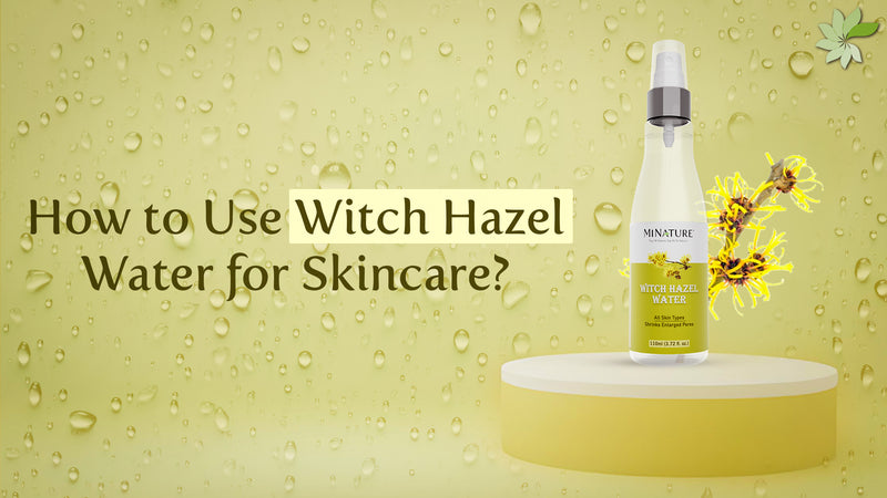 Witch hazel water skincare guide with effective tips for a revitalized complexion with natural astringent properties.