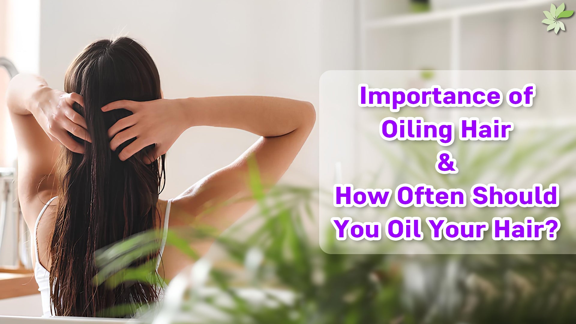 Benefits of Hair Oiling and Optimal Frequency for Healthy Hair Maintenance.