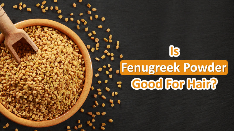 Fenugreek powder_Benefits for hair, nutrients, and usage methods. Explore natural hair care solutions with fenugreek.