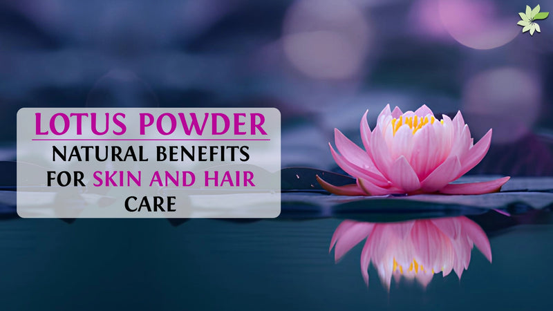 Enhance skin and hair care with Lotus Powder, offering natural anti-aging, brightening, and moisturizing benefits.