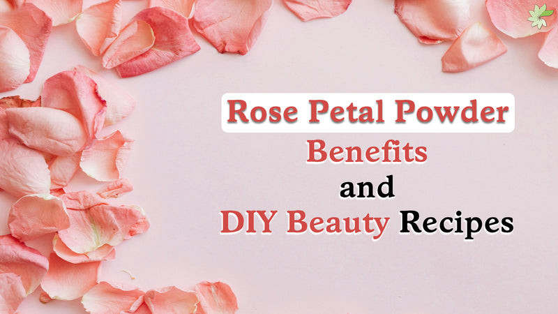 Rose Petal Powder: Benefits, DIY beauty recipes, natural skincare, and hair treatments for glowing, healthy skin and hair.