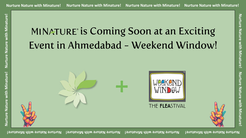 MINATURE is Coming Soon at an Exciting Event in Ahmedabad - Weekend Window!