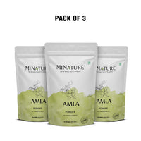 Amla Powder